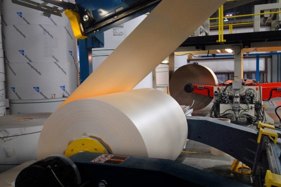Paper and Packaging - paper roll
