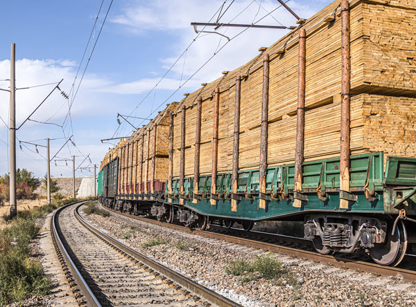 train hauling lumber