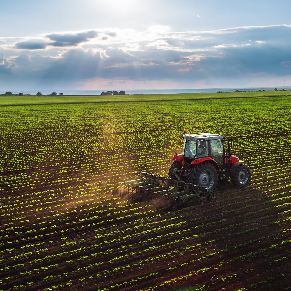 Tractor in a field